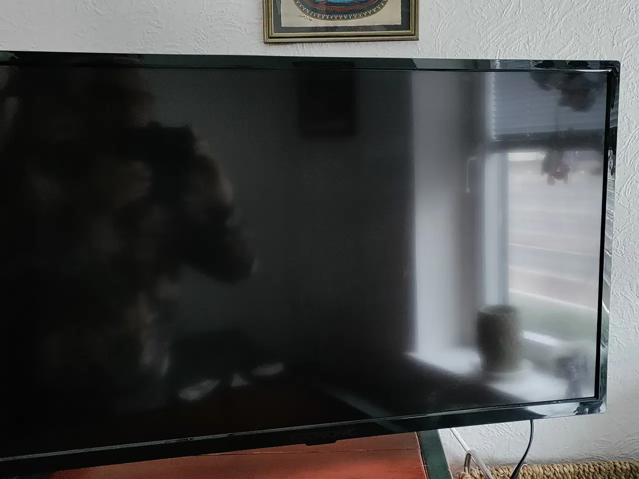Billede 1 - Prosonic 32" med 1 års garanti 