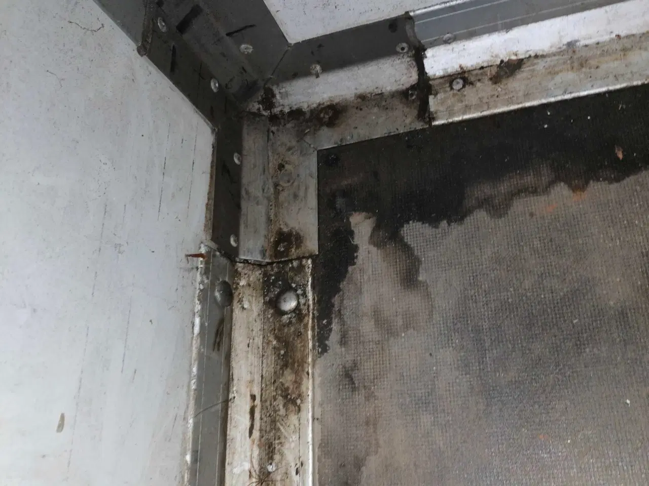 Billede 11 - God Fin cargo trailer med nogle år på bagen