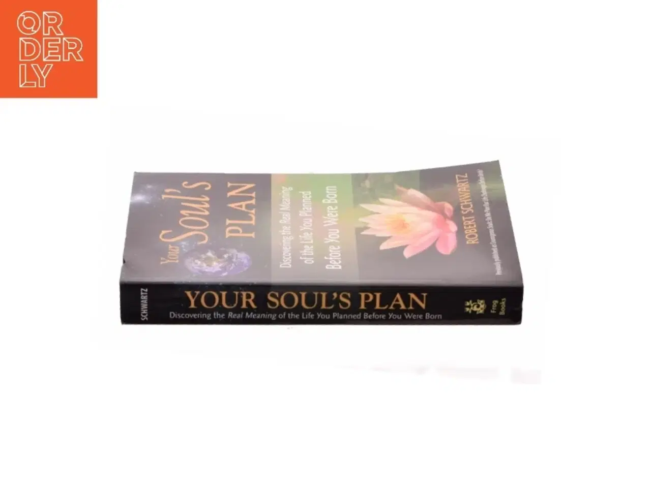 Billede 2 - Your Soul&#39;s Plan af Robert Schwartz (Bog)