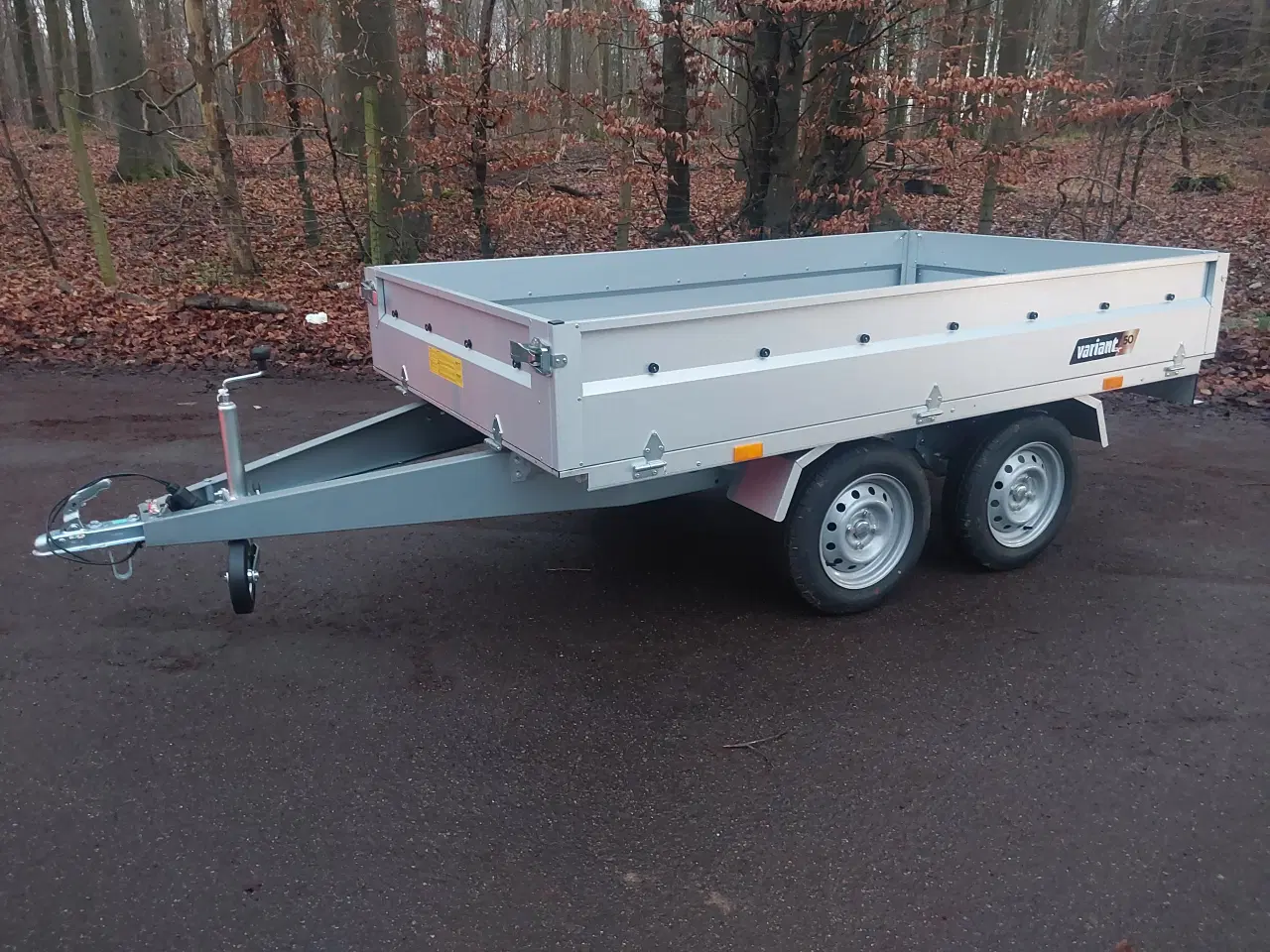 Billede 1 - Variant 756 A klassic