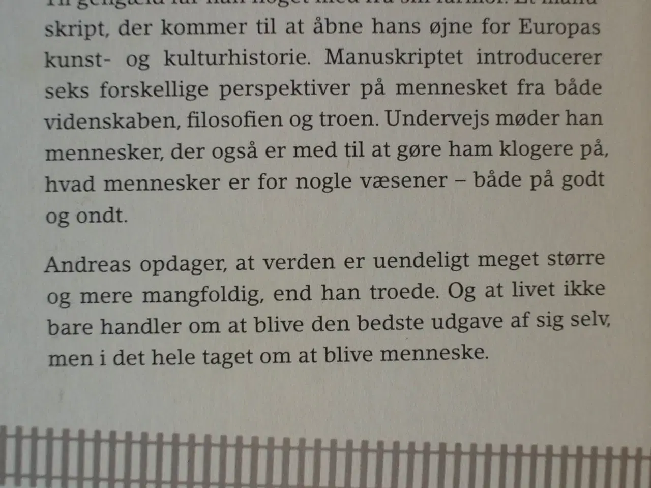 Billede 3 - hvad er et menneske - en filosofisk dannelsesrejse