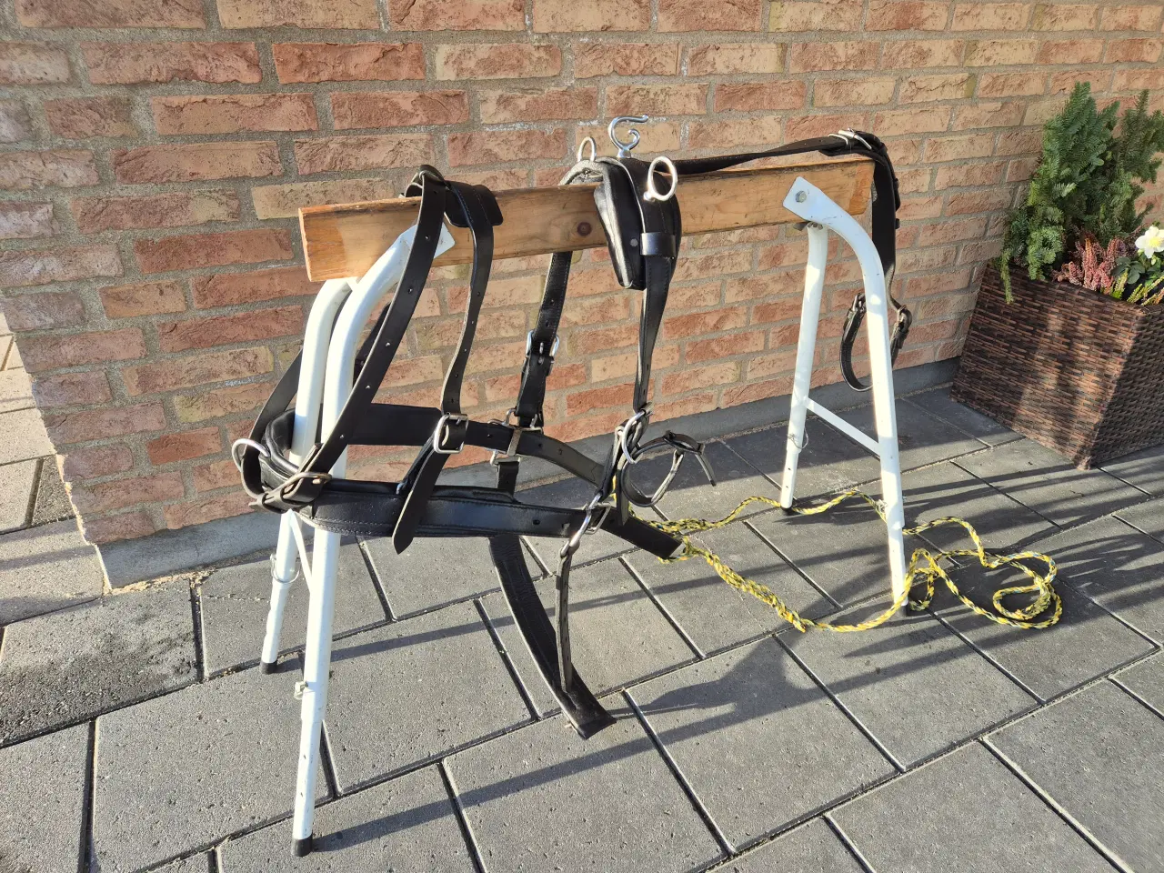 Billede 1 - Ponysele - shetl.