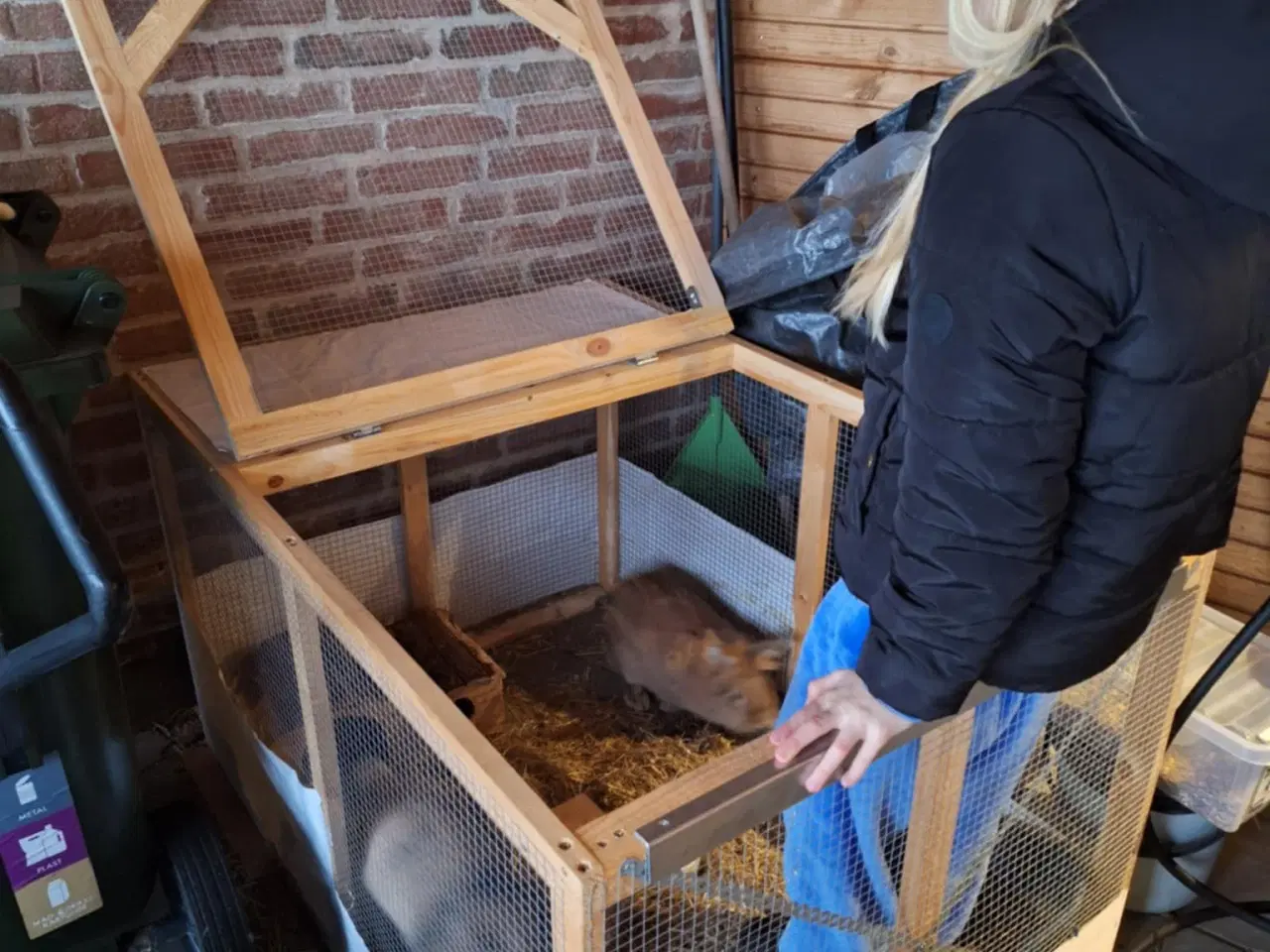 Billede 3 - To børnevenlige kaniner søger nyt kærligt hjem