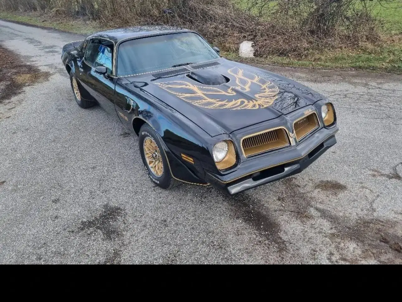 Billede 19 - Pontiac trans am