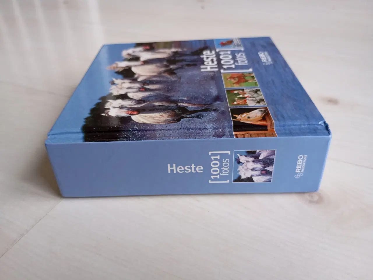 Billede 2 - Heste 1001 Fotos