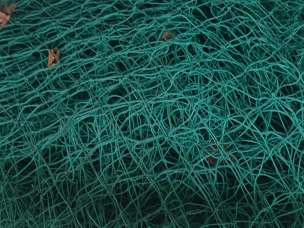 Billede 13 - Opdræts tilbehør til fjerkræ