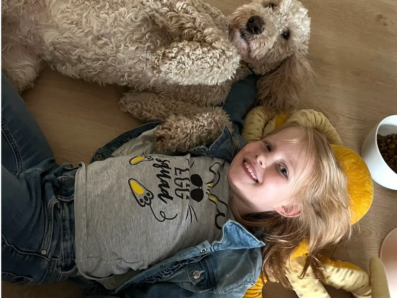 Billede 14 - Goldendoodle 
