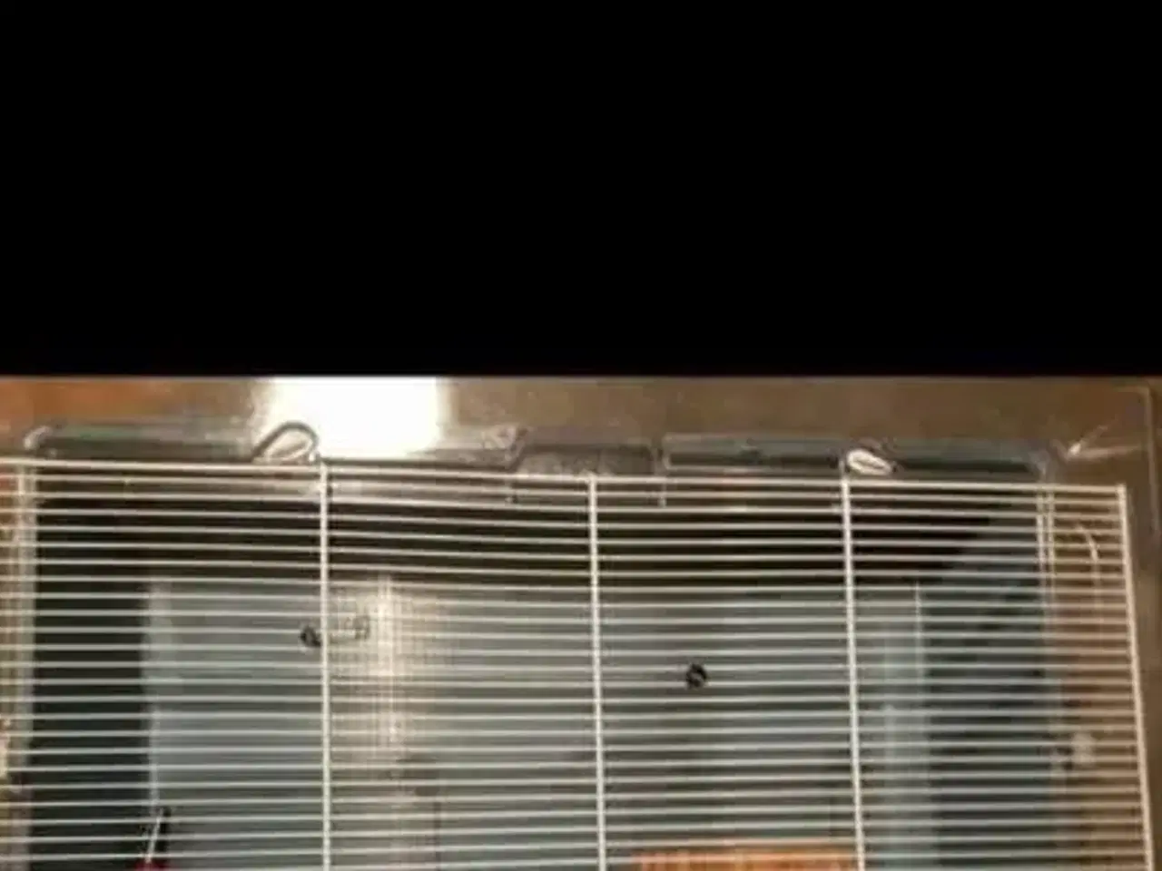 Billede 2 - hamster bur med tilbehør