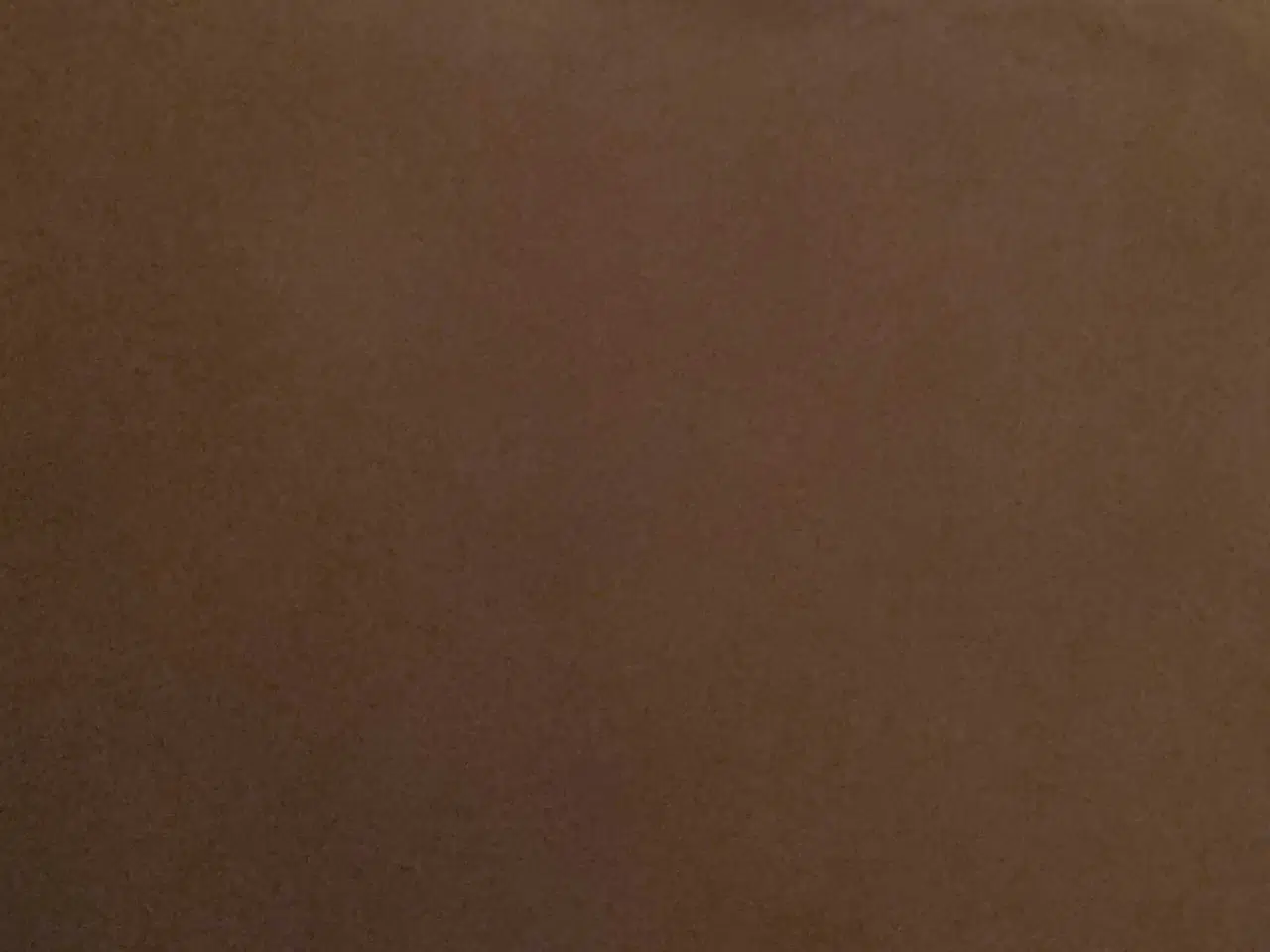 Billede 1 - Fugl købes 