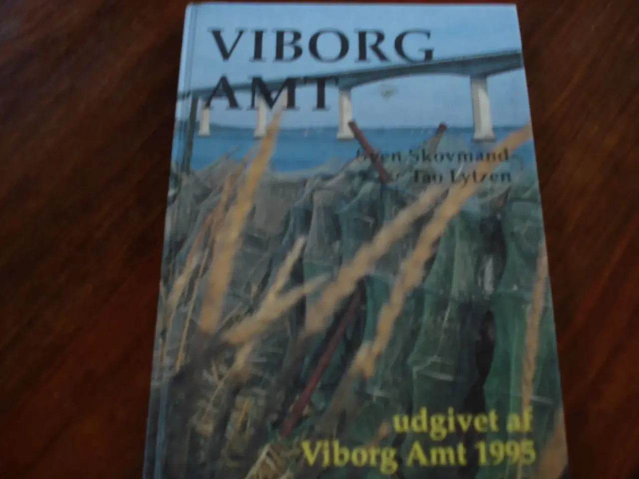 Billede 1 - Viborg Amt