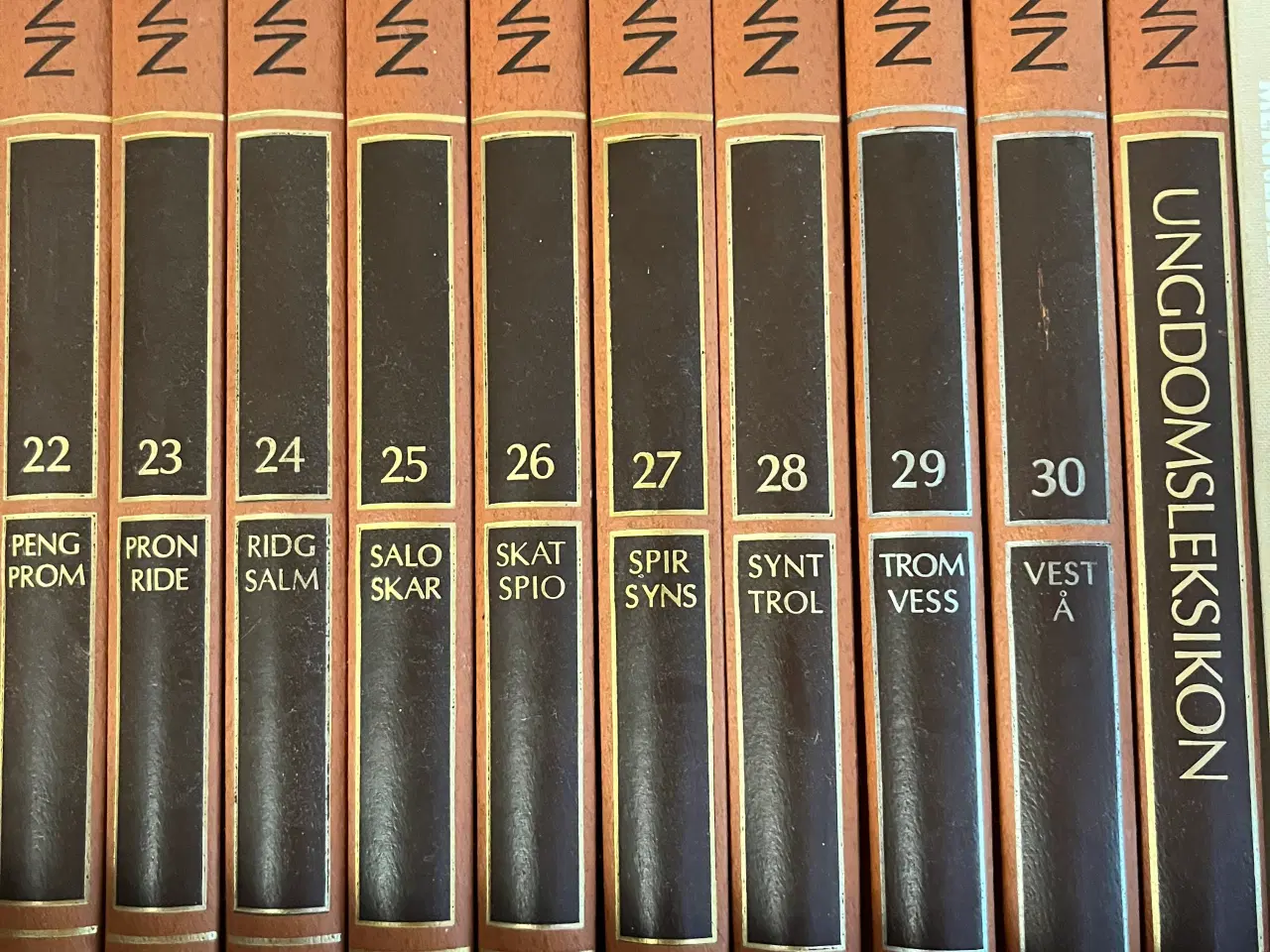 Billede 1 - Gratis Lademanns Leksikon