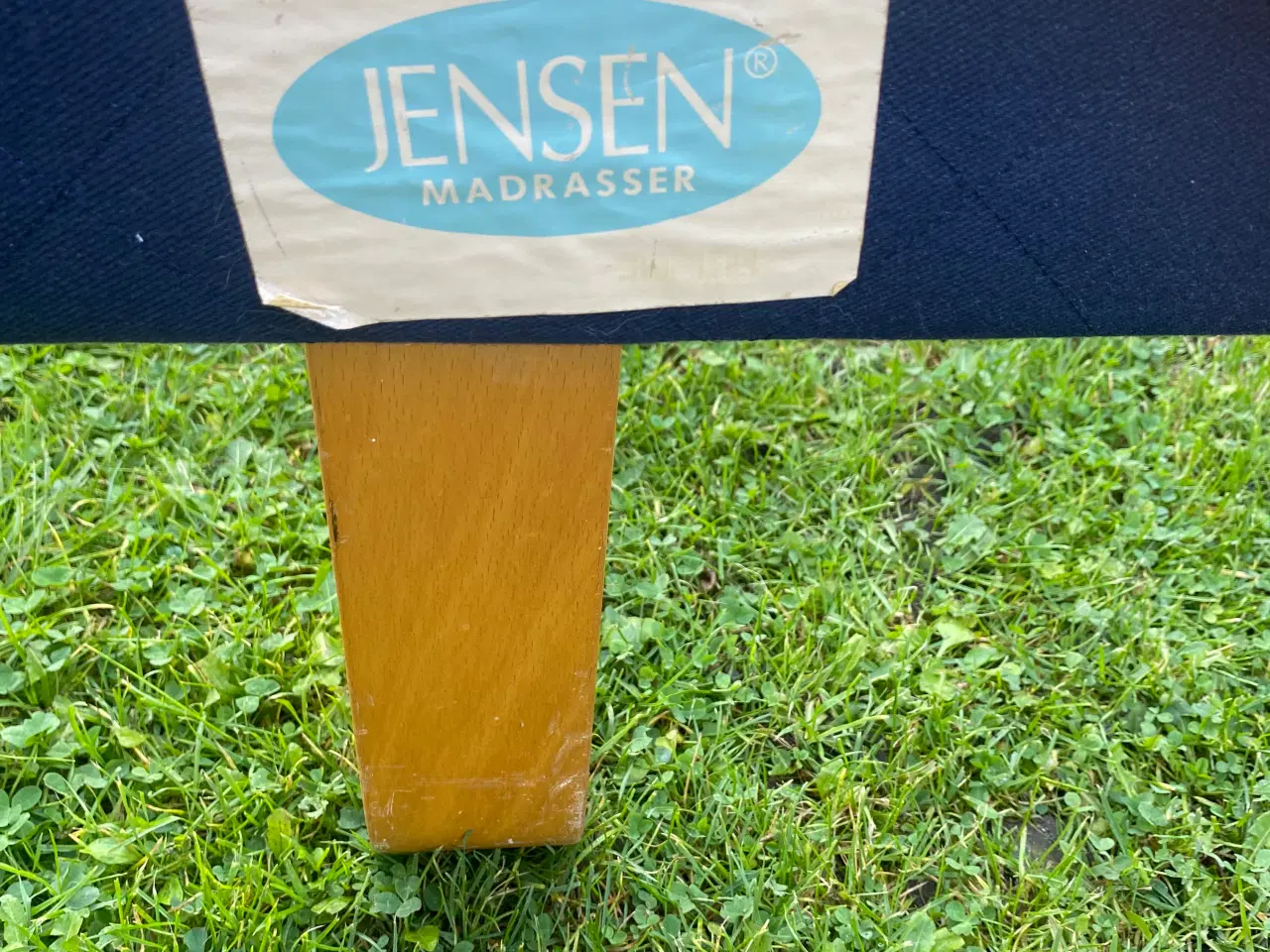 Billede 4 - Jensen elevationsseng u/madras