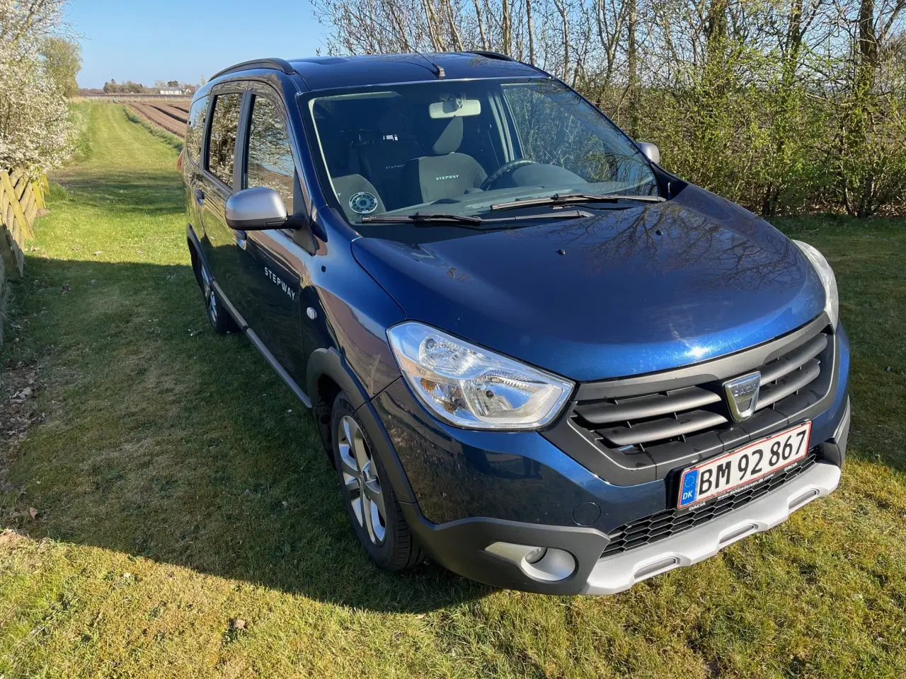 Billede 6 - Dacia Lodgy 1,5 Dci Stepway 7 sæder
