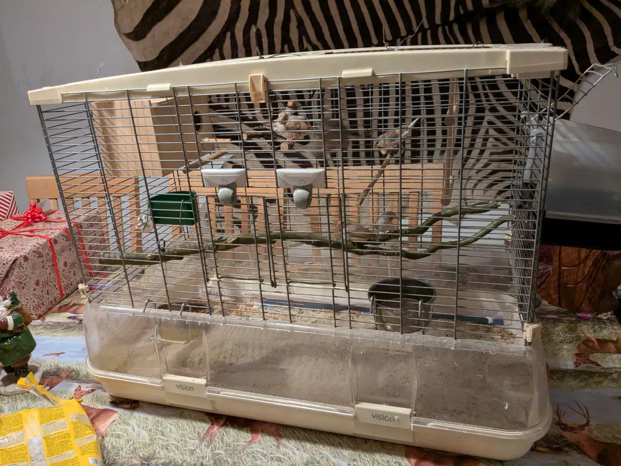Billede 3 - 10 Zebraer finker med fuglebure