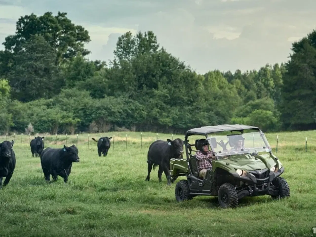 Billede 4 - Yamaha YXM 700 Viking EPS