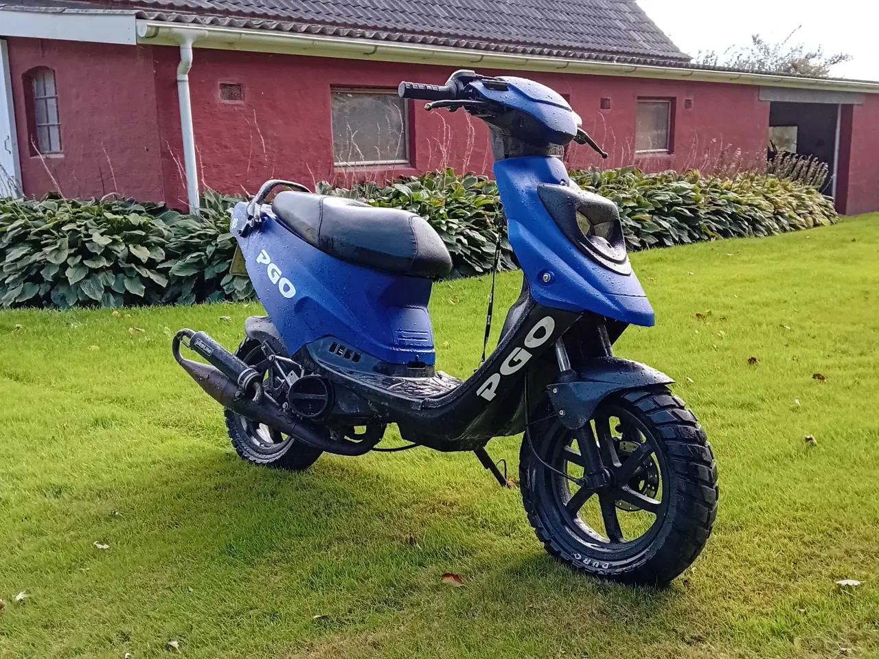 Billede 2 - PGO HOT 50