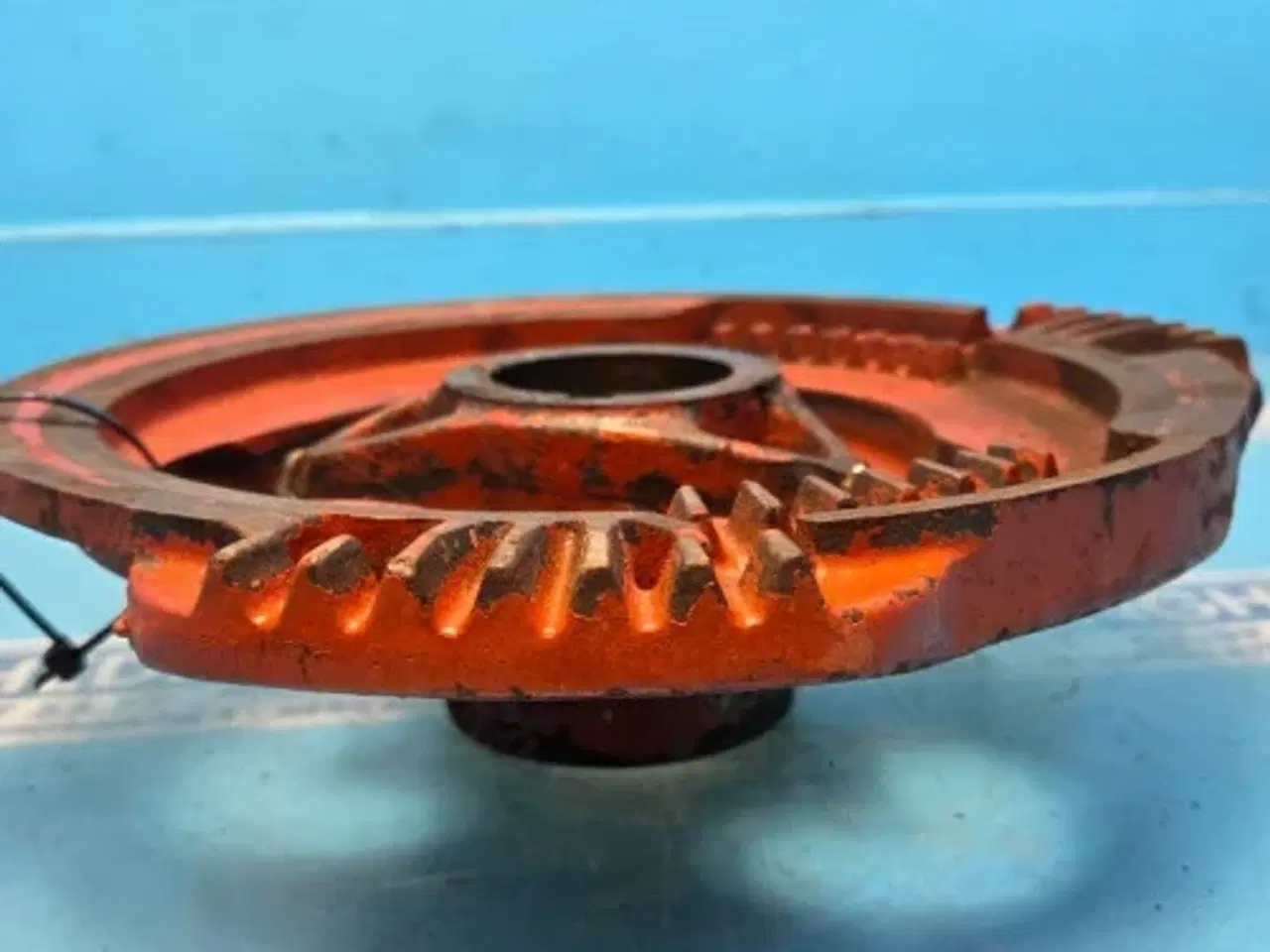 Billede 3 - Hesston 4700 Kamskive 700100868