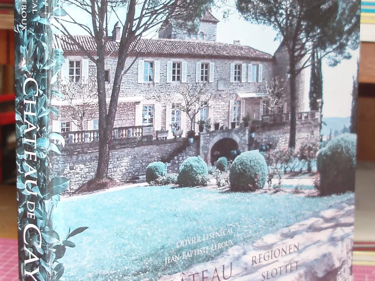 Billede 1 - Chateau de Cayx, Regionen, Slottet og vinen