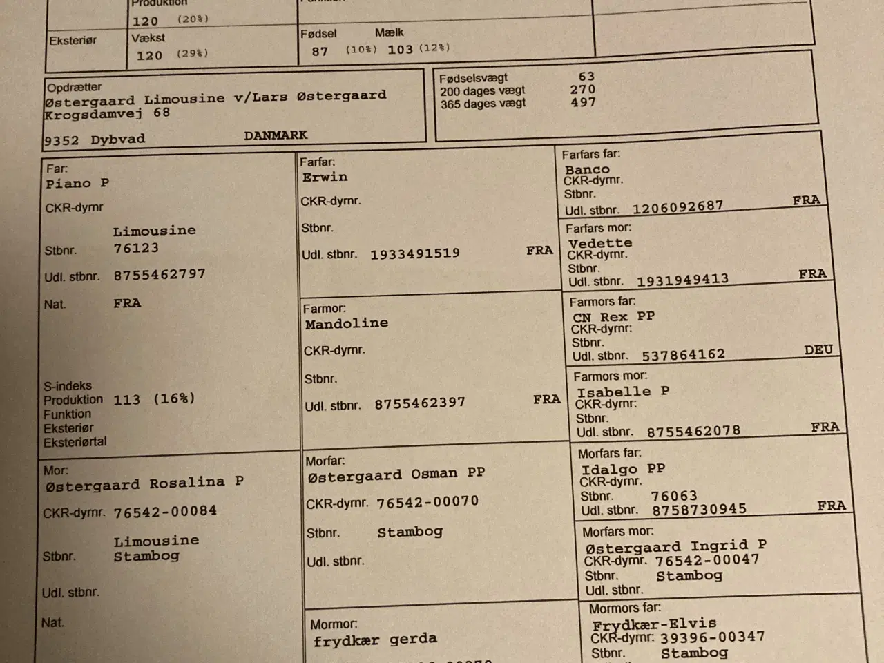 Billede 3 - Foldtyr Limousine 