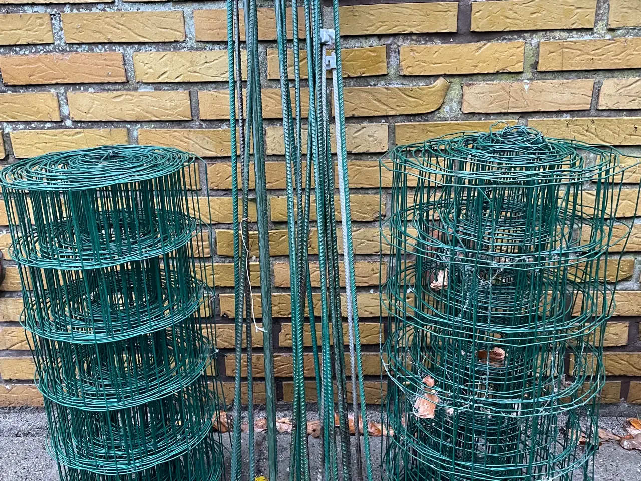 Billede 1 - Havehegn 60 cm. 