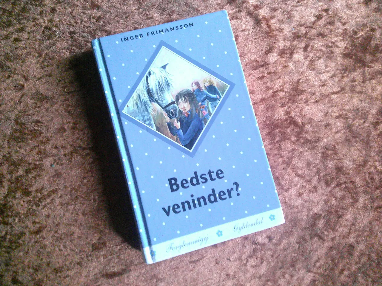 Billede 1 - Bedste veninder,  Inger Frimansson