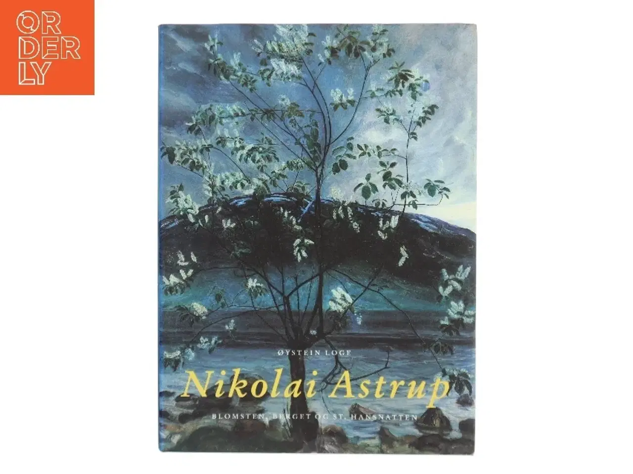 Billede 1 - Nikolai Astrup – Blomsten, berget og St. Hansnatten af Øystein Loge (Bog)