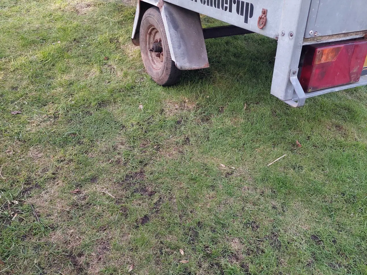 Billede 3 - Dan trailer med brenderup stålkasse.