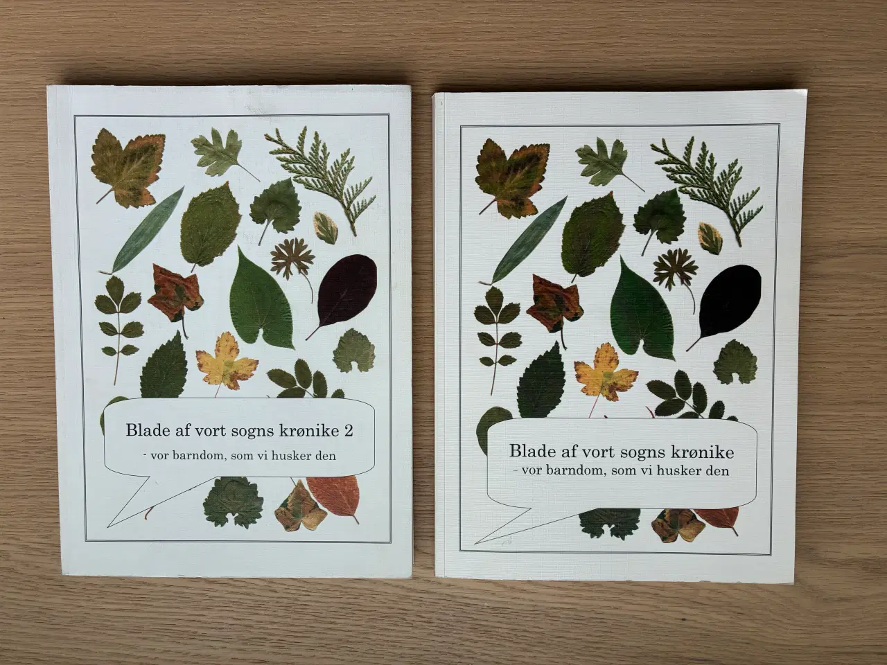 Billede 1 - Blade af vort sogns krønike  1 + 2