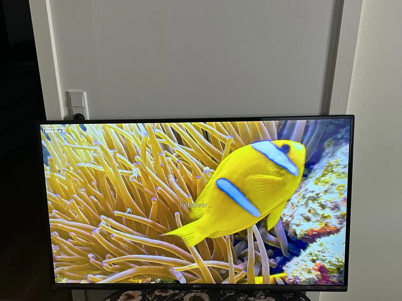 Billede 1 - LG 49" 4K UHD SMART TV 
