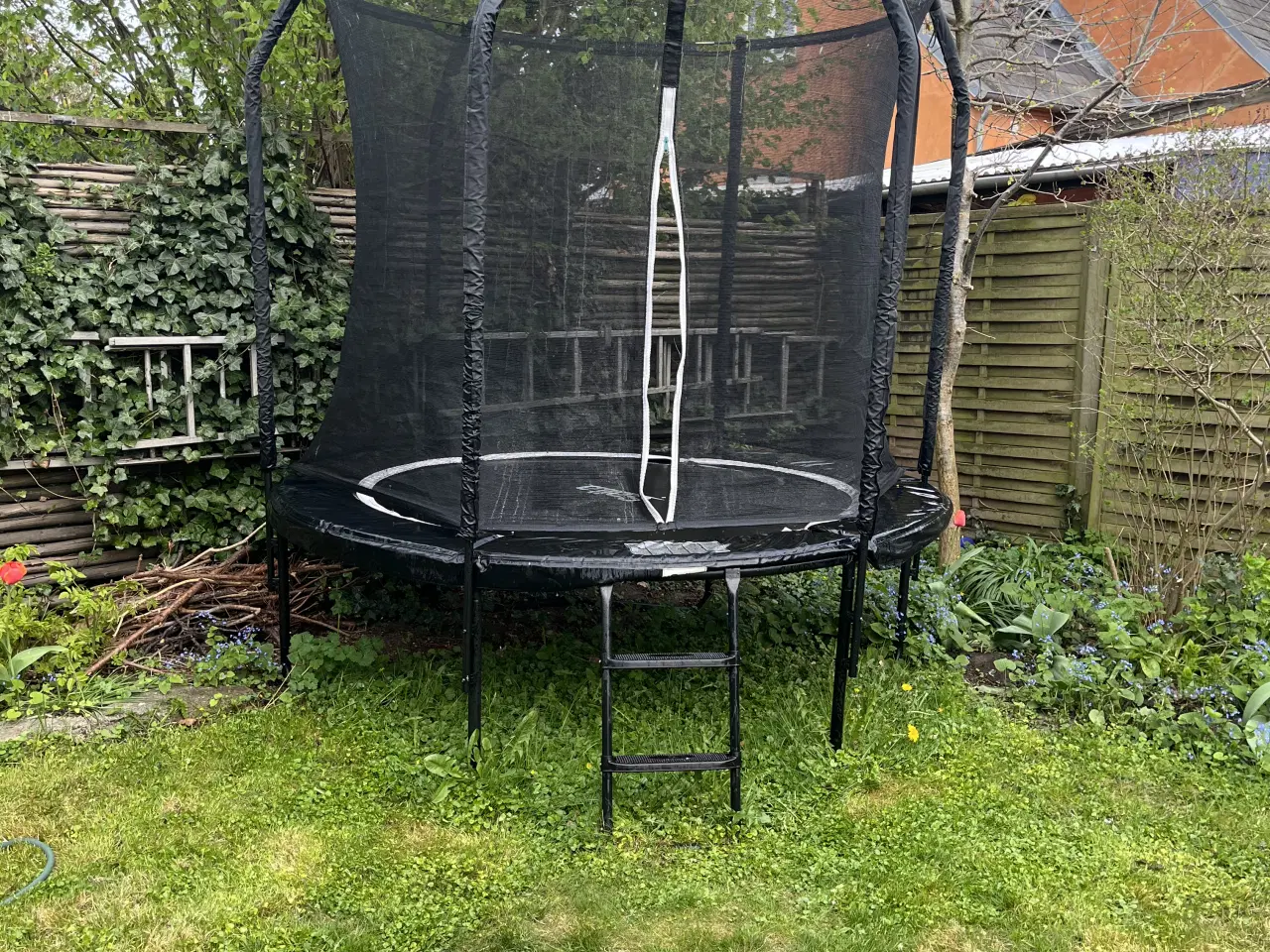 Billede 3 - Salta Premium Black Edition havetrampolin Ø: 251 c