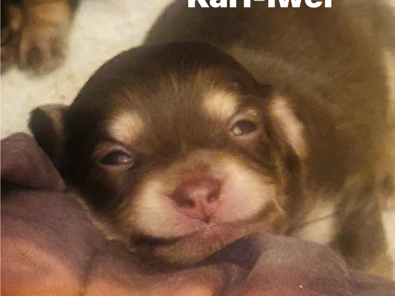 Billede 1 - Hej alle, jeg er en lille dreng