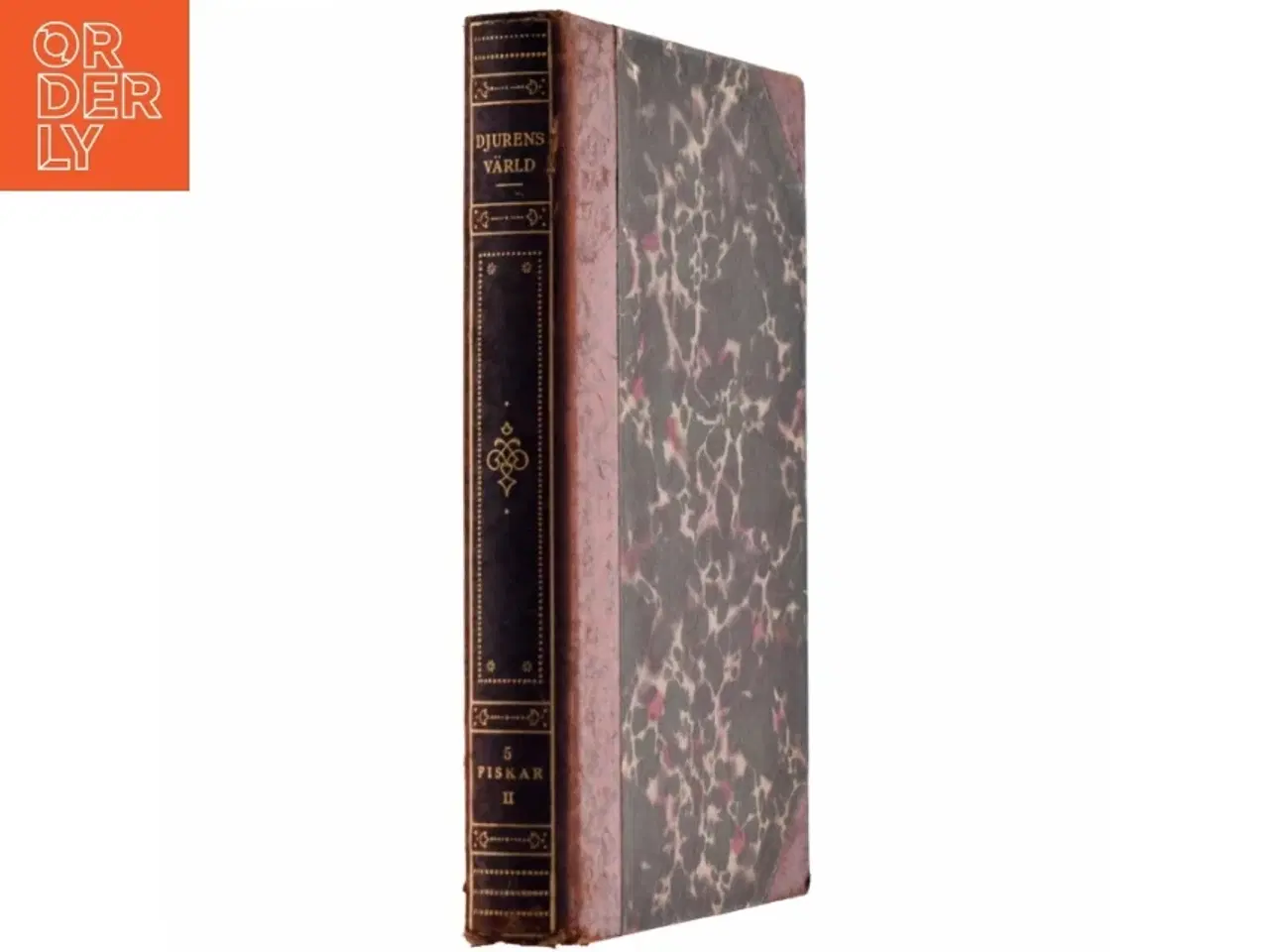 Billede 2 - Djürens Värld