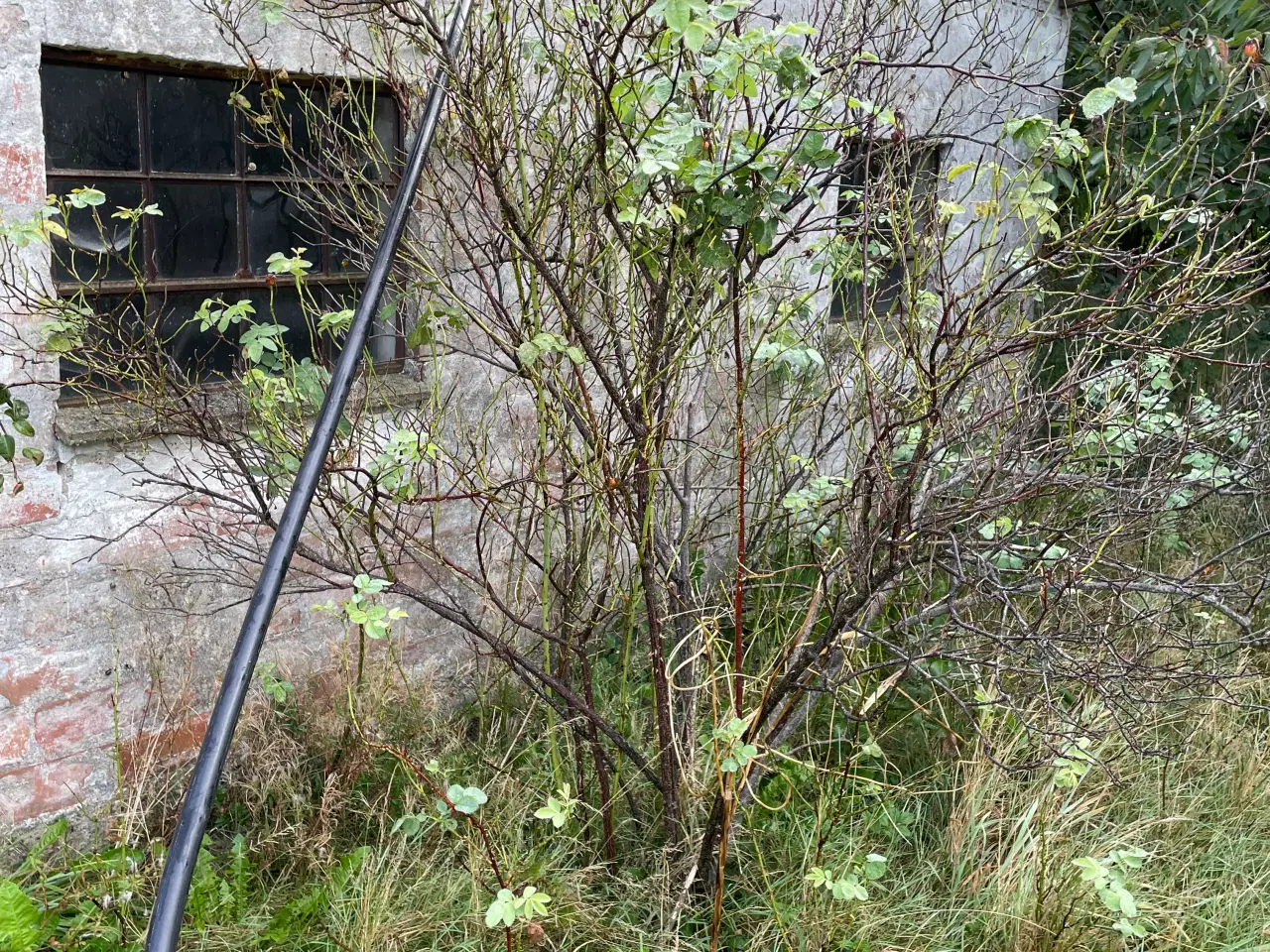 Billede 3 - Kraftig landbrugs vandslanger i 2 størrelser