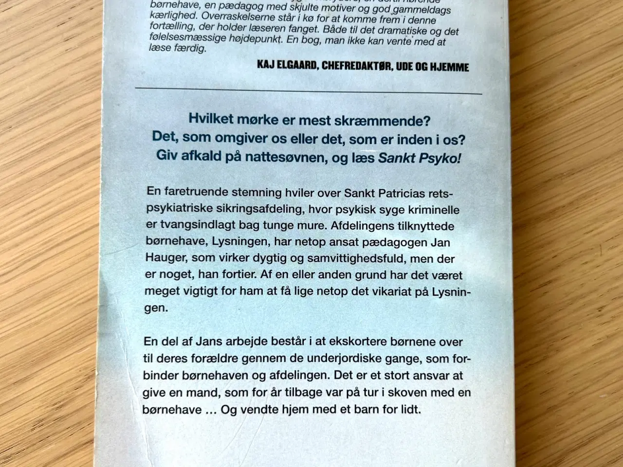 Billede 2 - Sankta Psyko af Johan Theorin