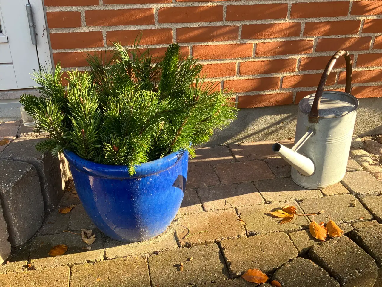 Billede 6 - Store og mindre krukker