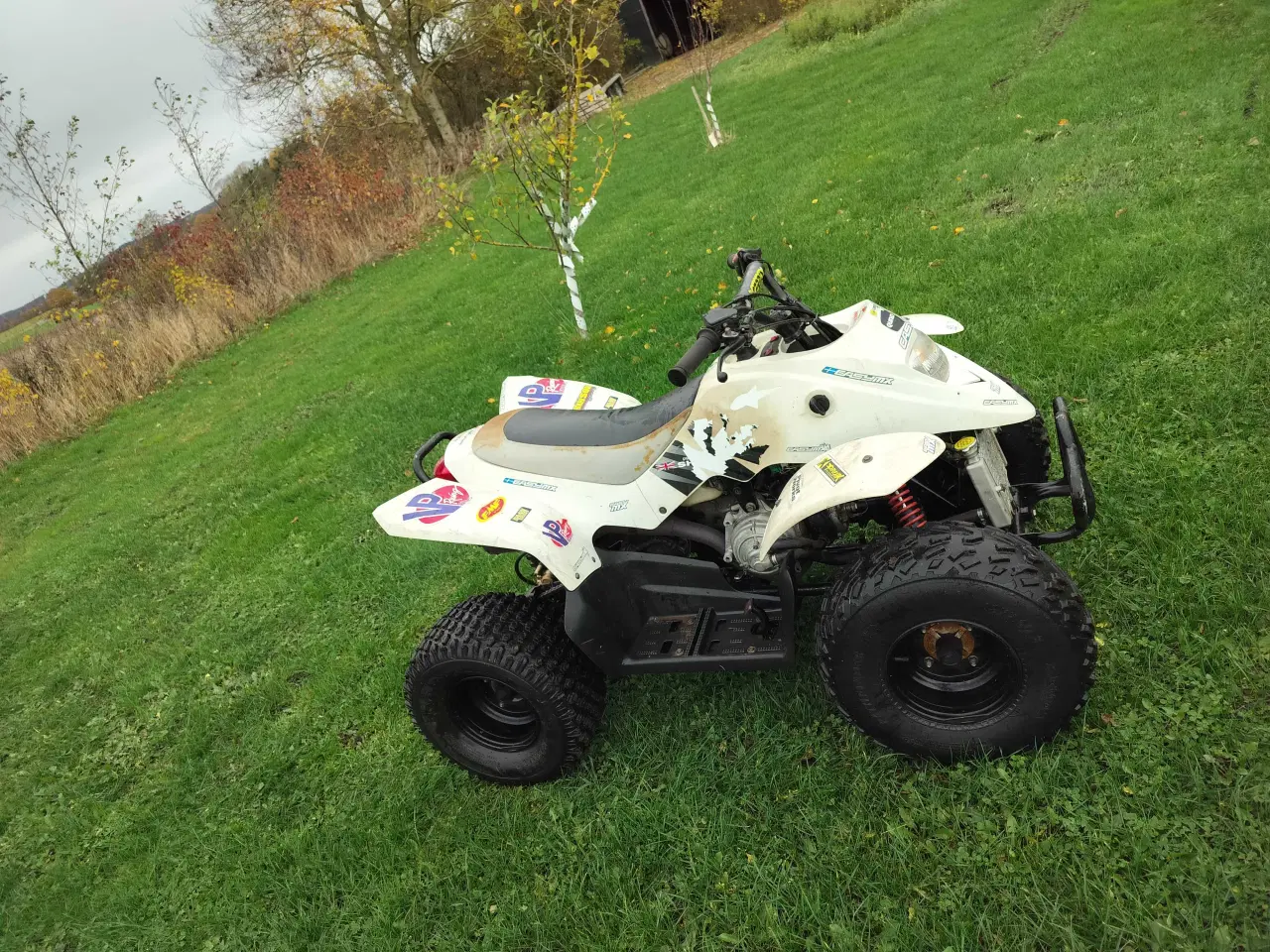 Billede 3 - Apex Pro shark 100 cc