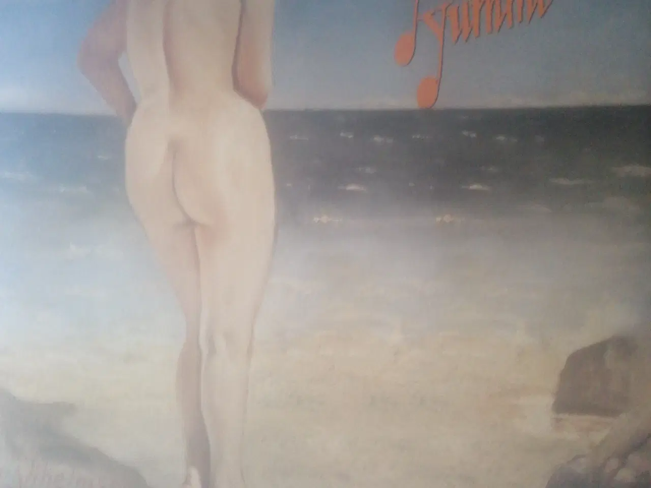 Billede 2 - Kim Larsen lp, er