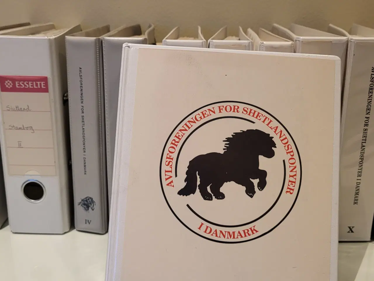 Billede 1 - Stambøger: AVLSFORENINGEN FOR SHETLANDSPONYER I DK