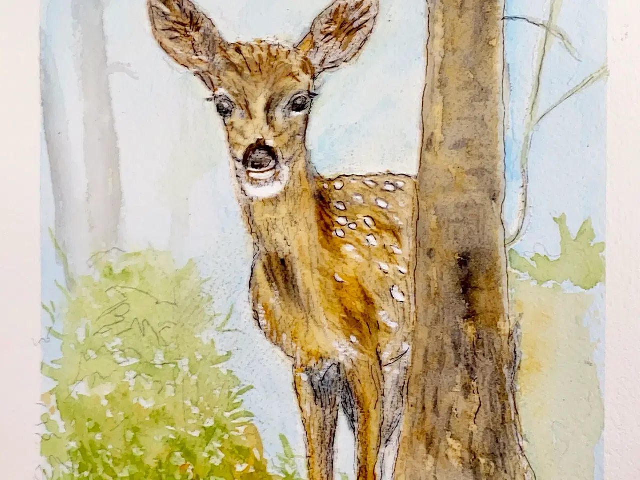 Billede 2 - Akvareller 