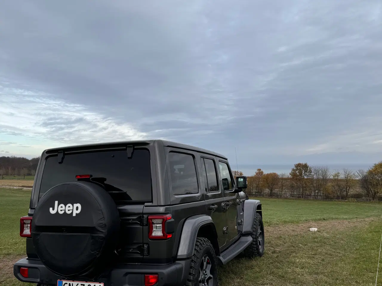 Billede 7 - Jeep Wrangler Sahara 2.0 T-GDi Aut 4X4 Fuld Afgift