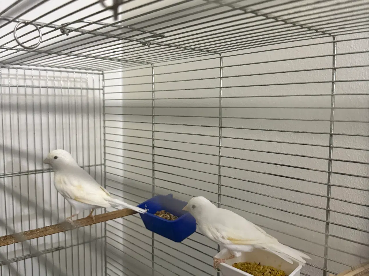 Billede 2 - Beskrivelse af varen