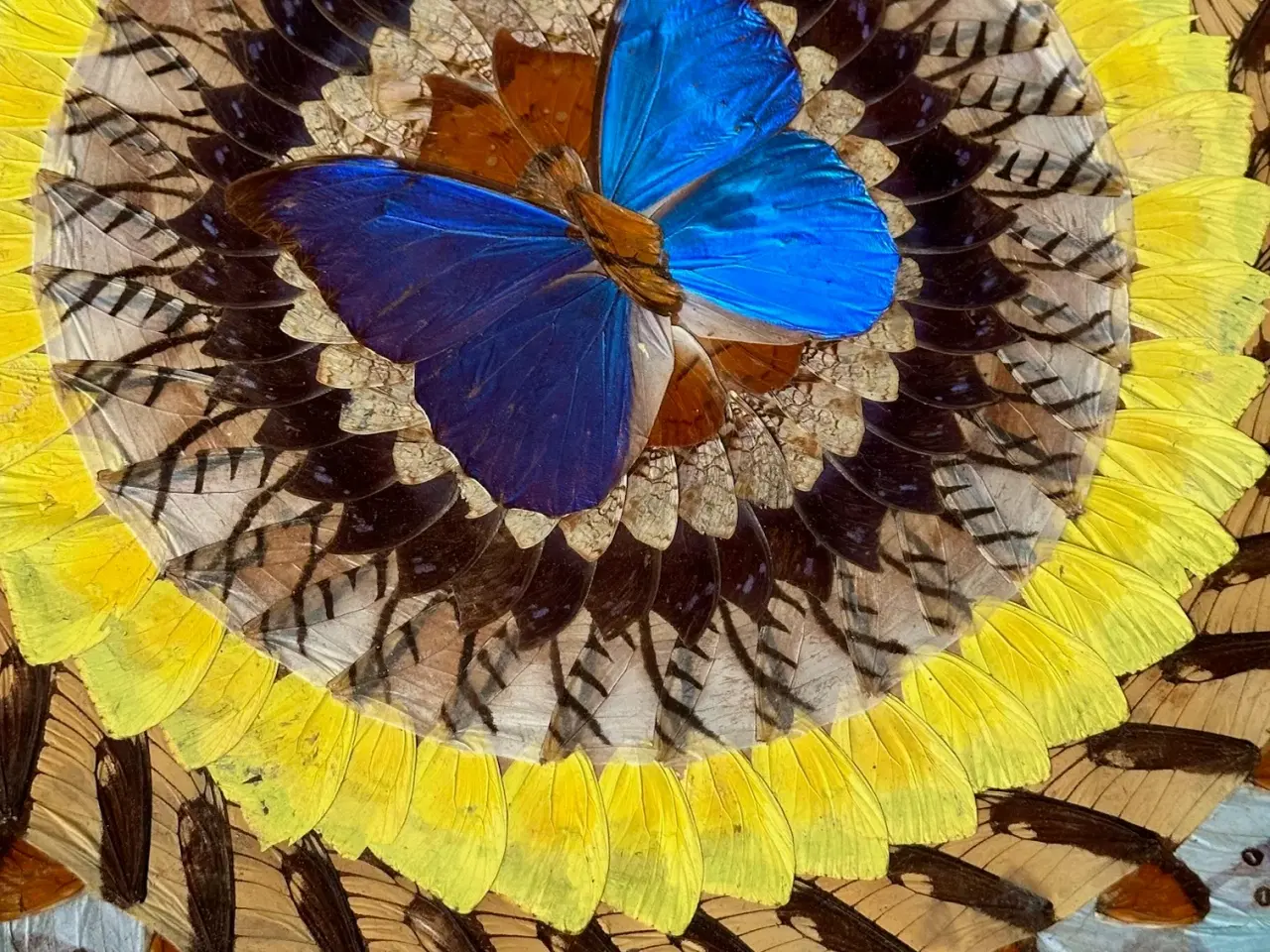 Billede 3 - Metalfad m sommerfugle