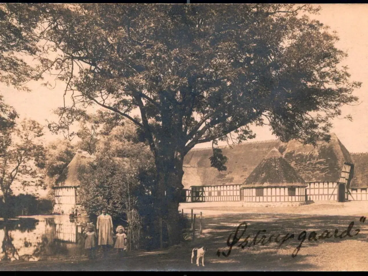 Billede 1 - Østrupgaard - Fotokort u/n - Brugt