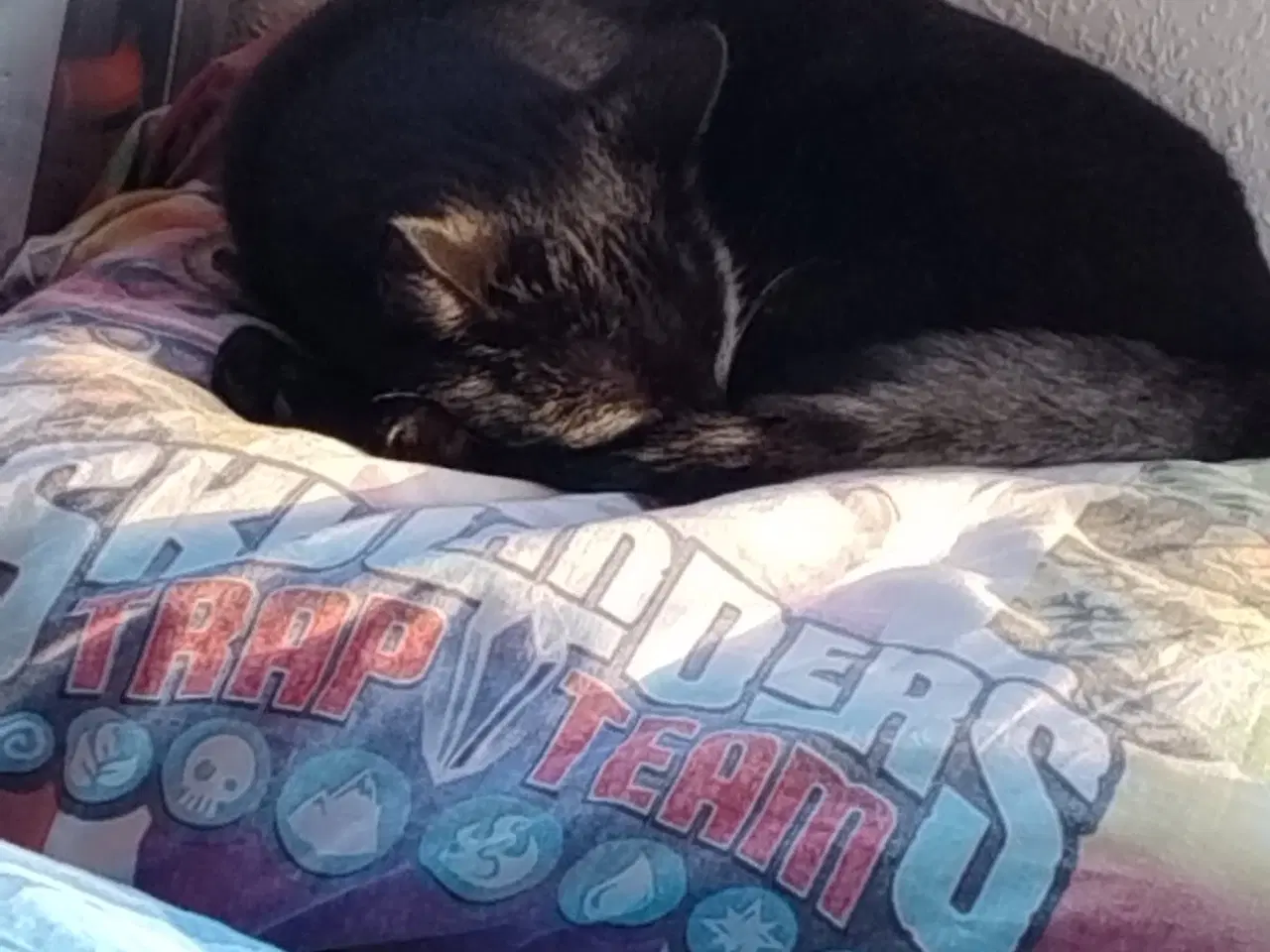 Billede 4 - Sød og nem nussemis 