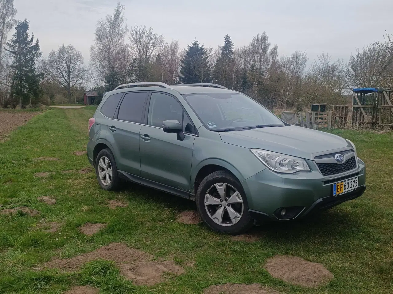 Billede 5 - Subraue Forester 