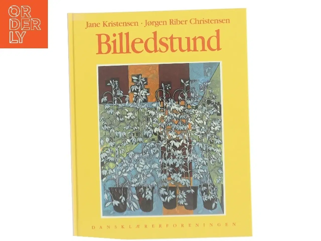 Billede 1 - Amanda i Afrika af Synnøve Lien (Bog)
