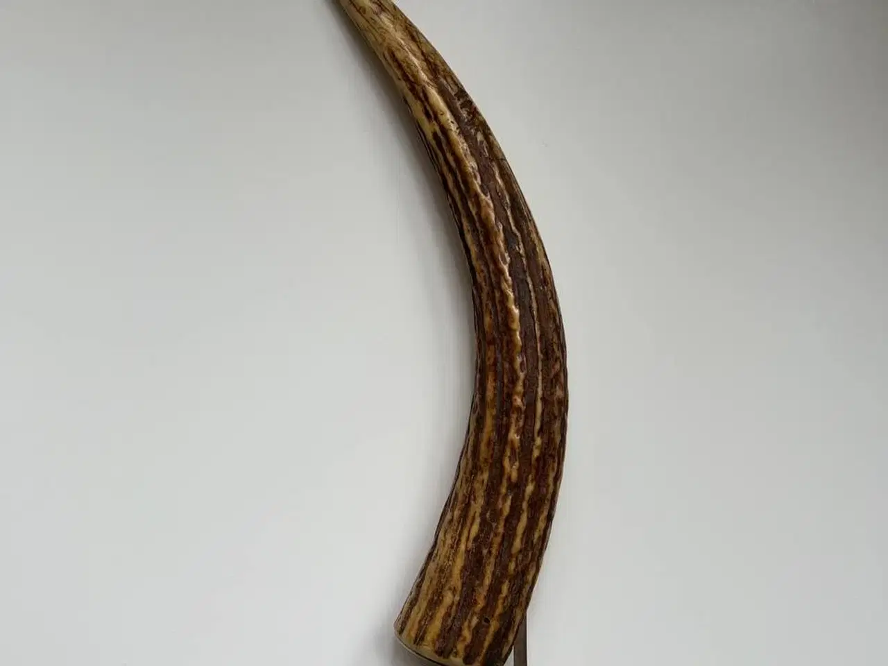 Billede 4 - Vintage Cigar Cutter m. Hjortegevær – Sjælden