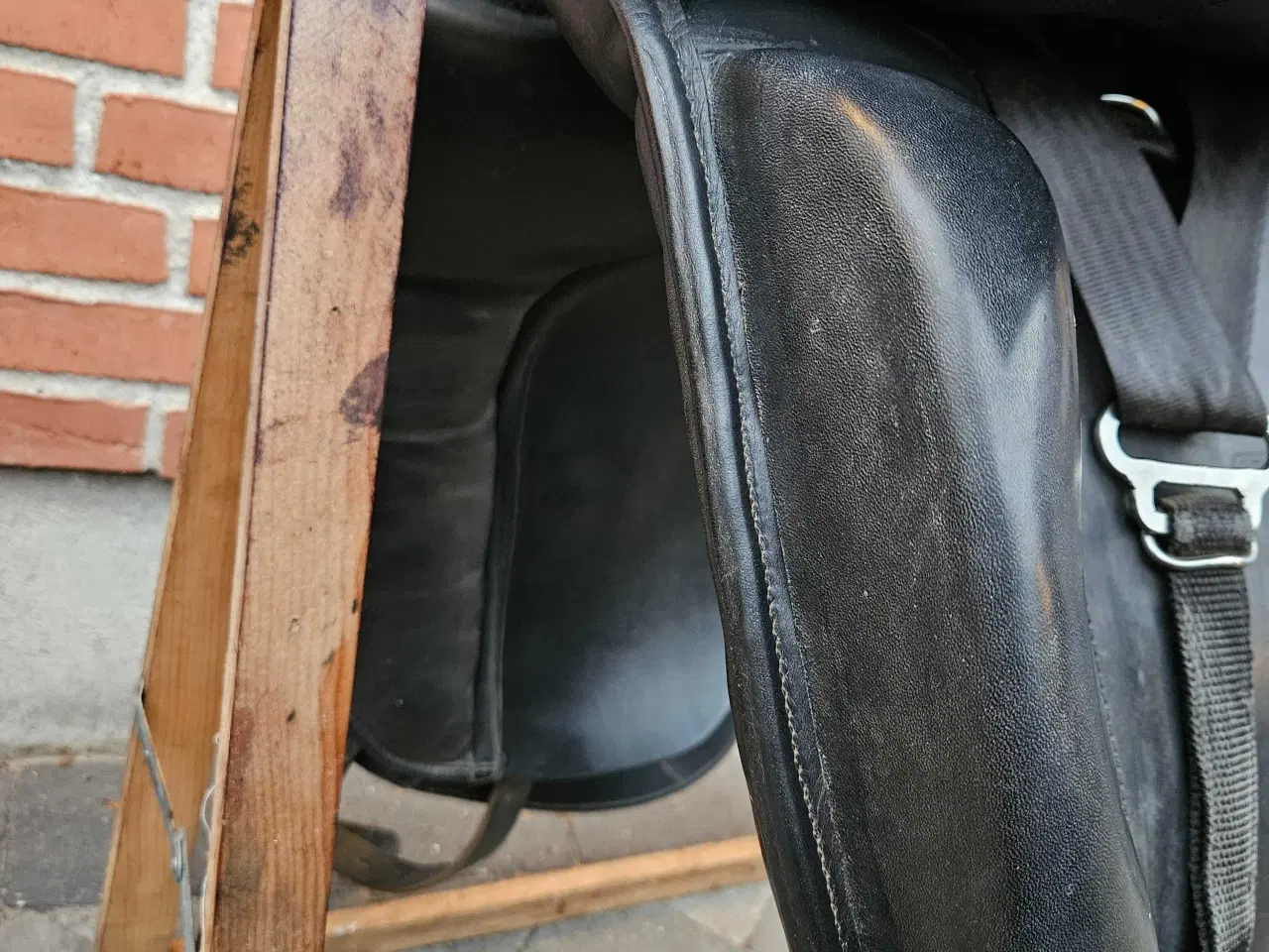 Billede 3 - Topreiter NI islændersadel