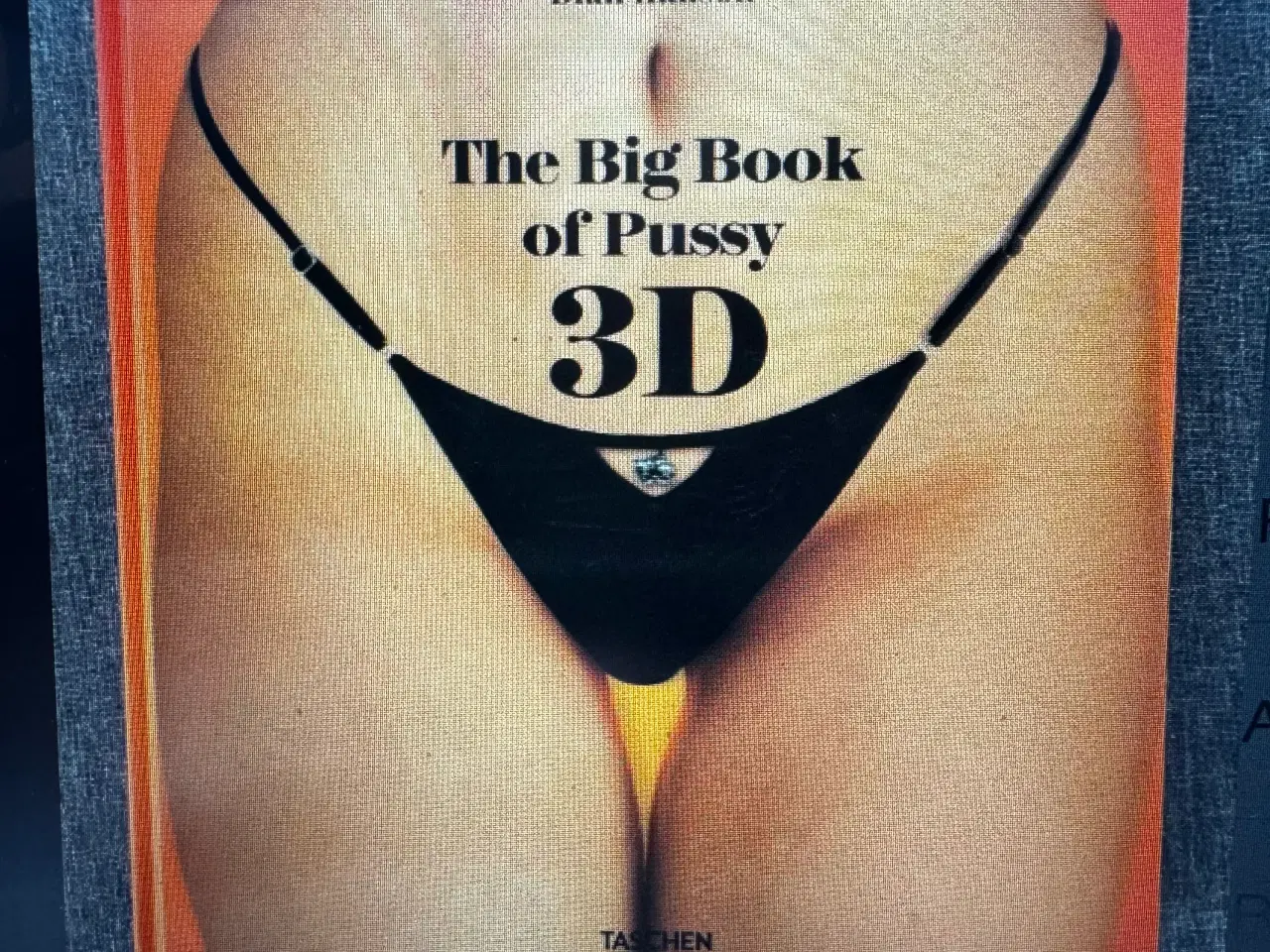 Billede 1 - The Big Book of Pussy - 3D