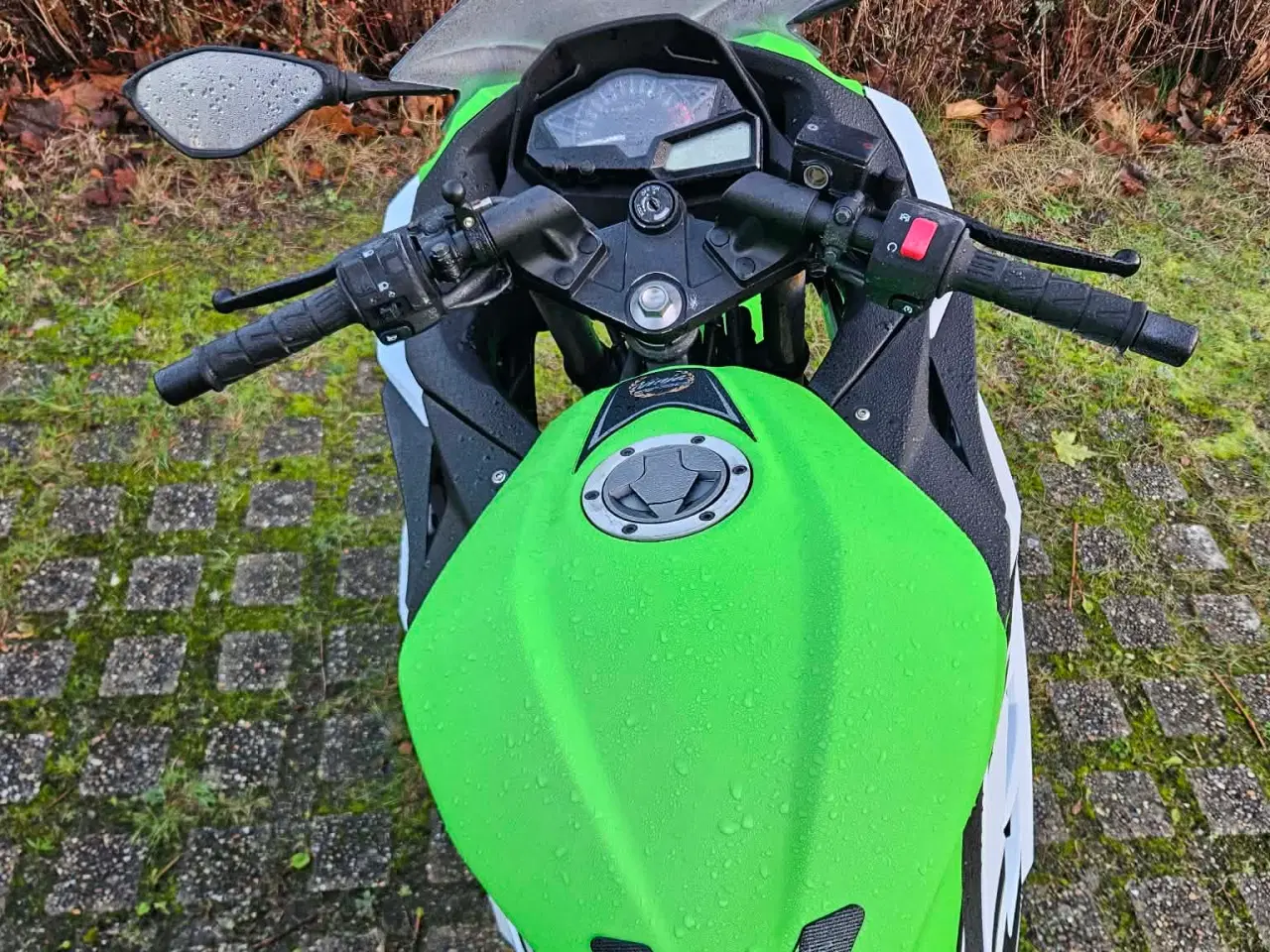 Billede 3 - Kawasaki Ninja 300